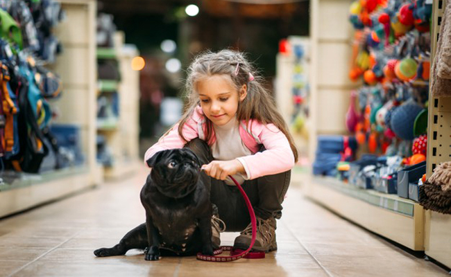 Animalerie, comment être certain de pouvoir lui faire confiance ?