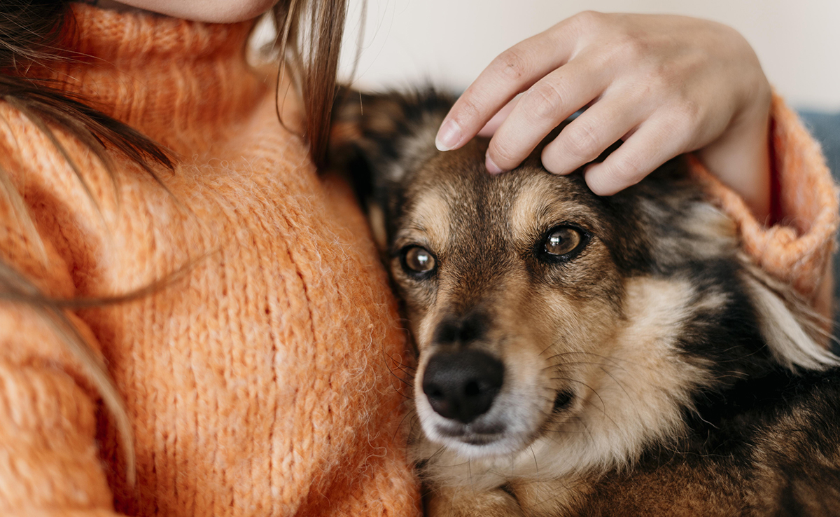 Les animaux possèdent-ils une conscience ?