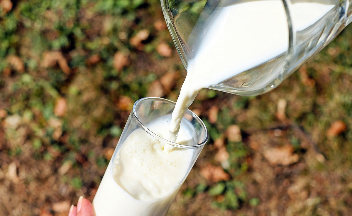 De quels animaux boit-on le lait à part la vache, chèvre ou brebis ?