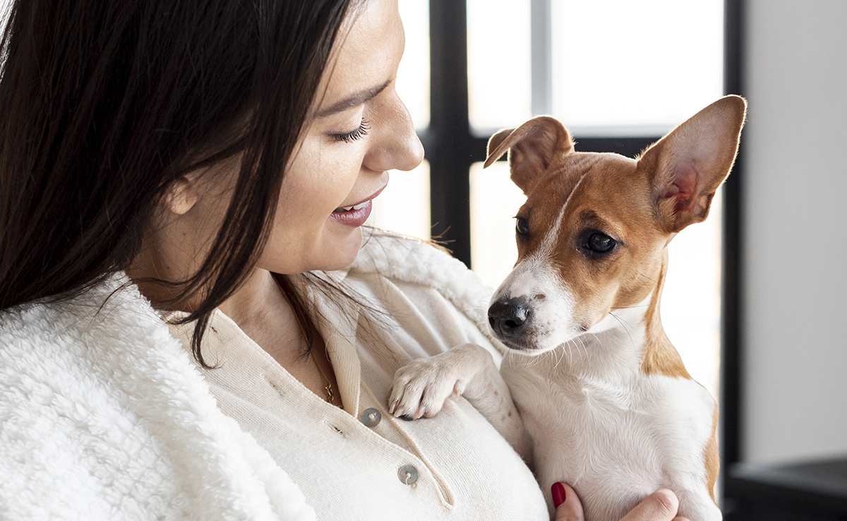 Est-il obligatoire d'assurer son animal de compagnie ?