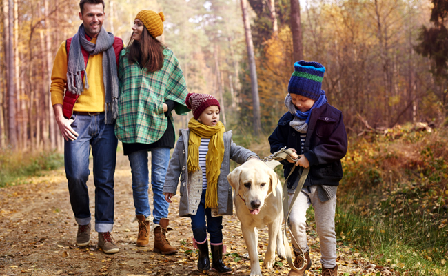 9 bienfaits des animaux de compagnie sur la famille