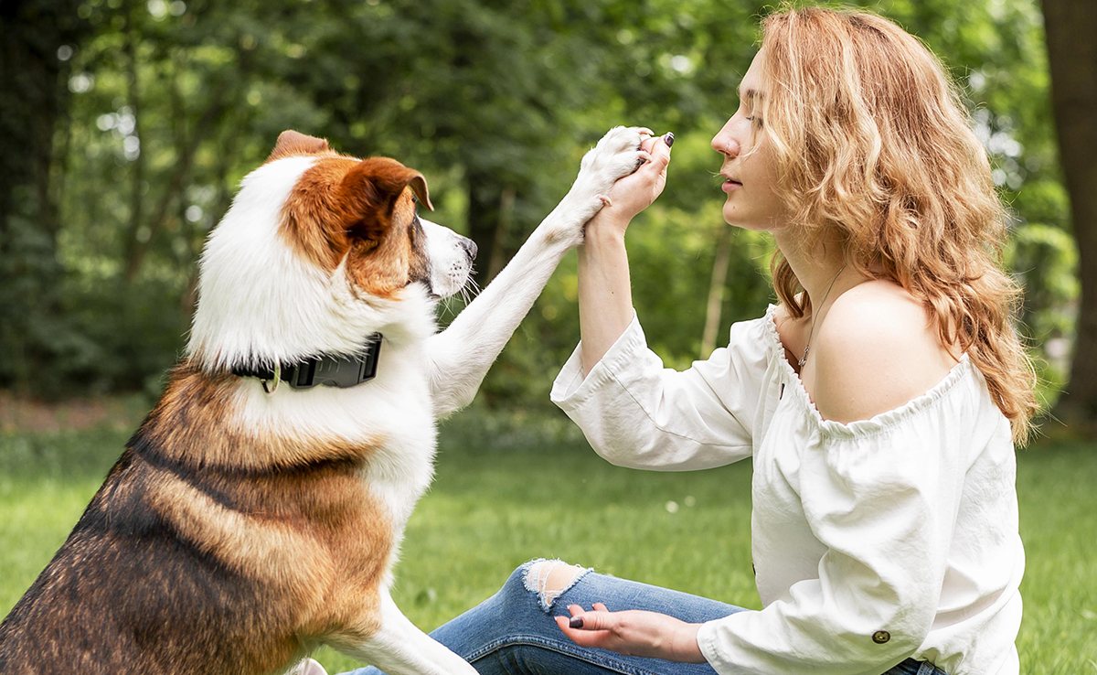 Communication animale : de quoi parle-t-on exactement ?