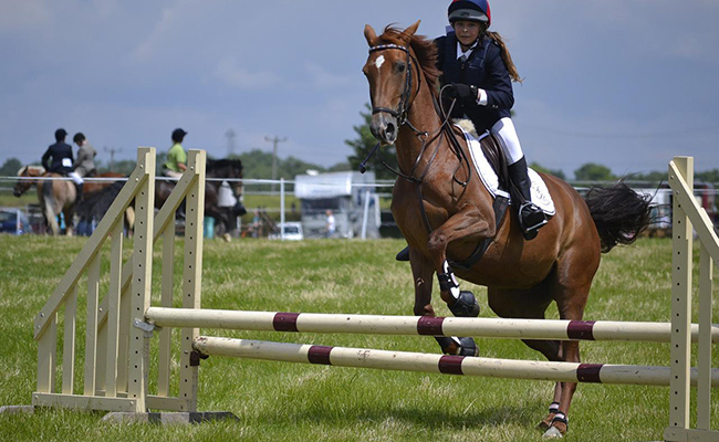 Premier concours de saut d'obstacles : comment bien se préparer ?