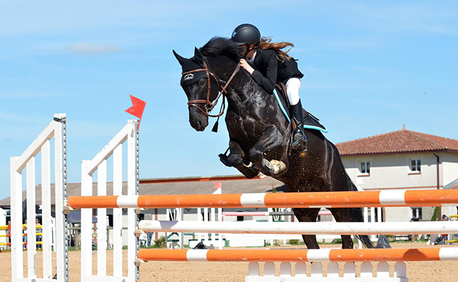 Équitation : quelles sont les différentes disciplines ? Laquelle choisir ?