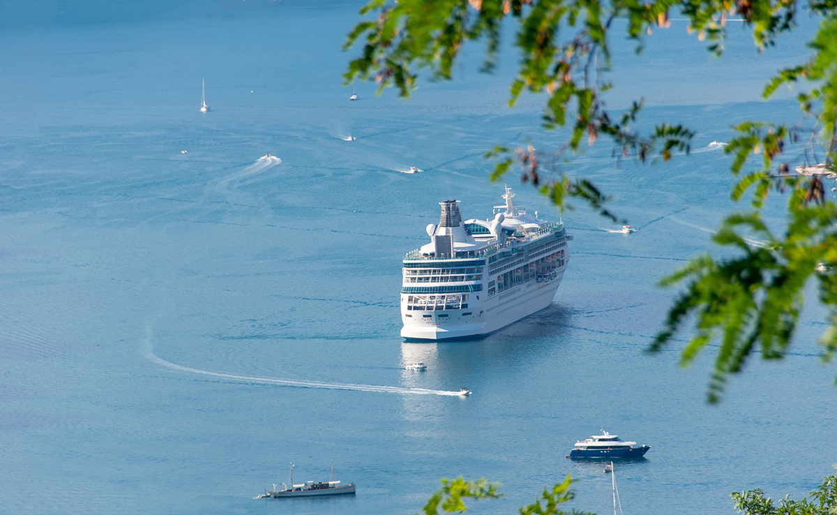 Peut-on emmener son animal de compagnie, chien ou chat en croisière ?