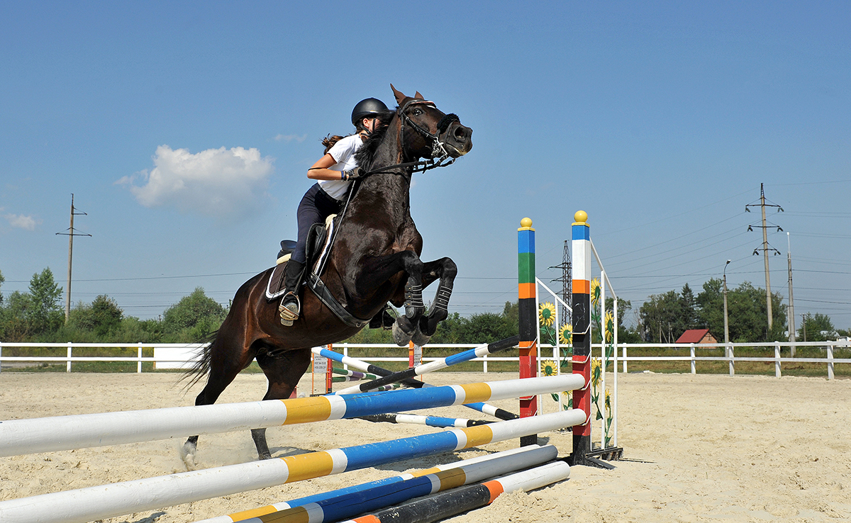 Équitation : ce sport coûte-t-il si cher ? Quel budget à l'année ?