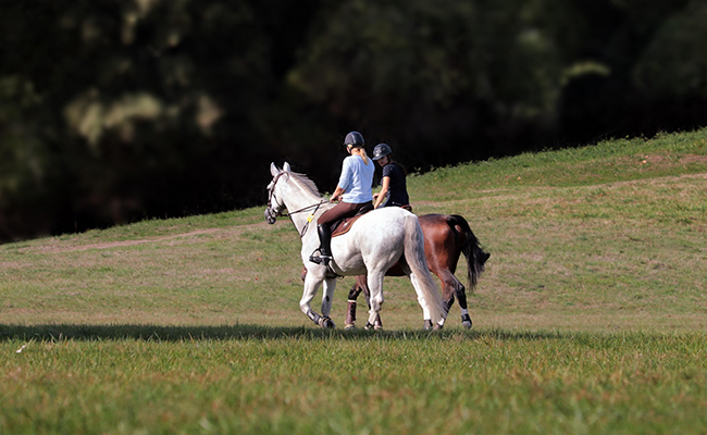 L'équitation est-elle vraiment l'ennemie de votre dos ? Spoil : pas du tout !