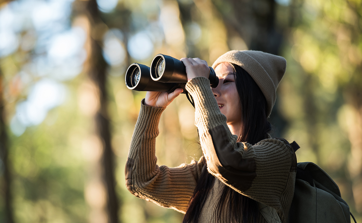 Qu'est-ce qu'un éthologue ? Quelle formation pour exercer ce métier ?