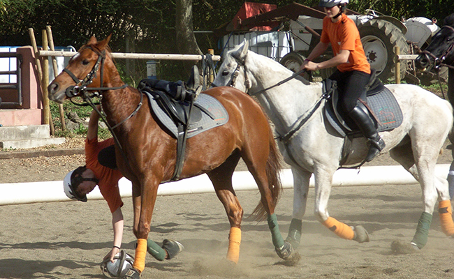 Le horse-ball, discipline équestre : explications