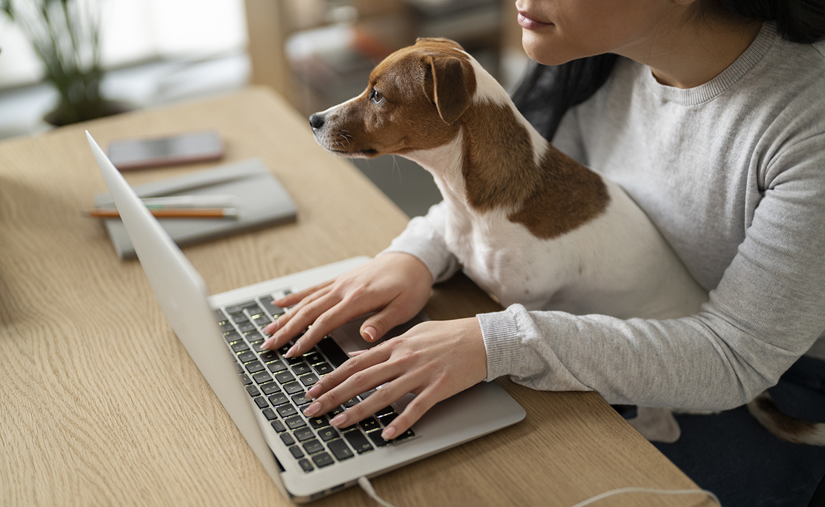 Pet Tech de quoi parle-t-on ? En quoi les start-ups innovent autour des animaux ?