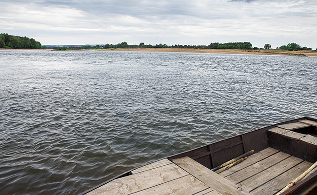 Poissons de Loire : quelles espèces vivent dans ce fleuve ?