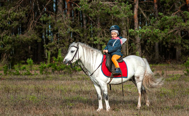 À quel âge peut-on commencer le poney ? Quels bienfaits pour l’enfant ?