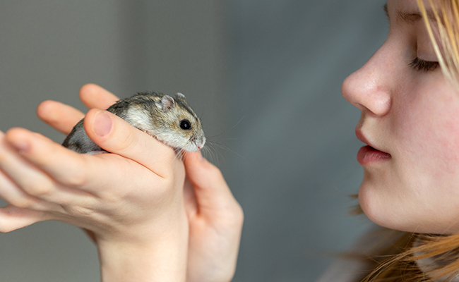 Mon premier Hamster : 10 erreurs de débutant à ne pas faire !