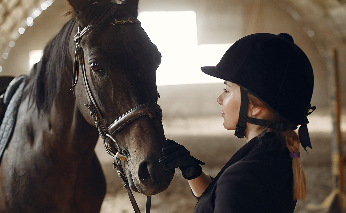 Respecter son cheval : les 10 commandements