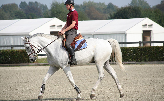 Comment choisir une bonne selle de dressage ?