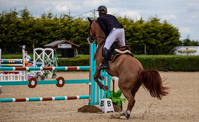 Comment choisir une bonne selle de saut d'obstacles ?