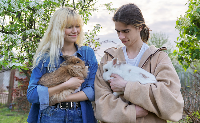 Stérilisation de la lapine : pourquoi, quand comment ?