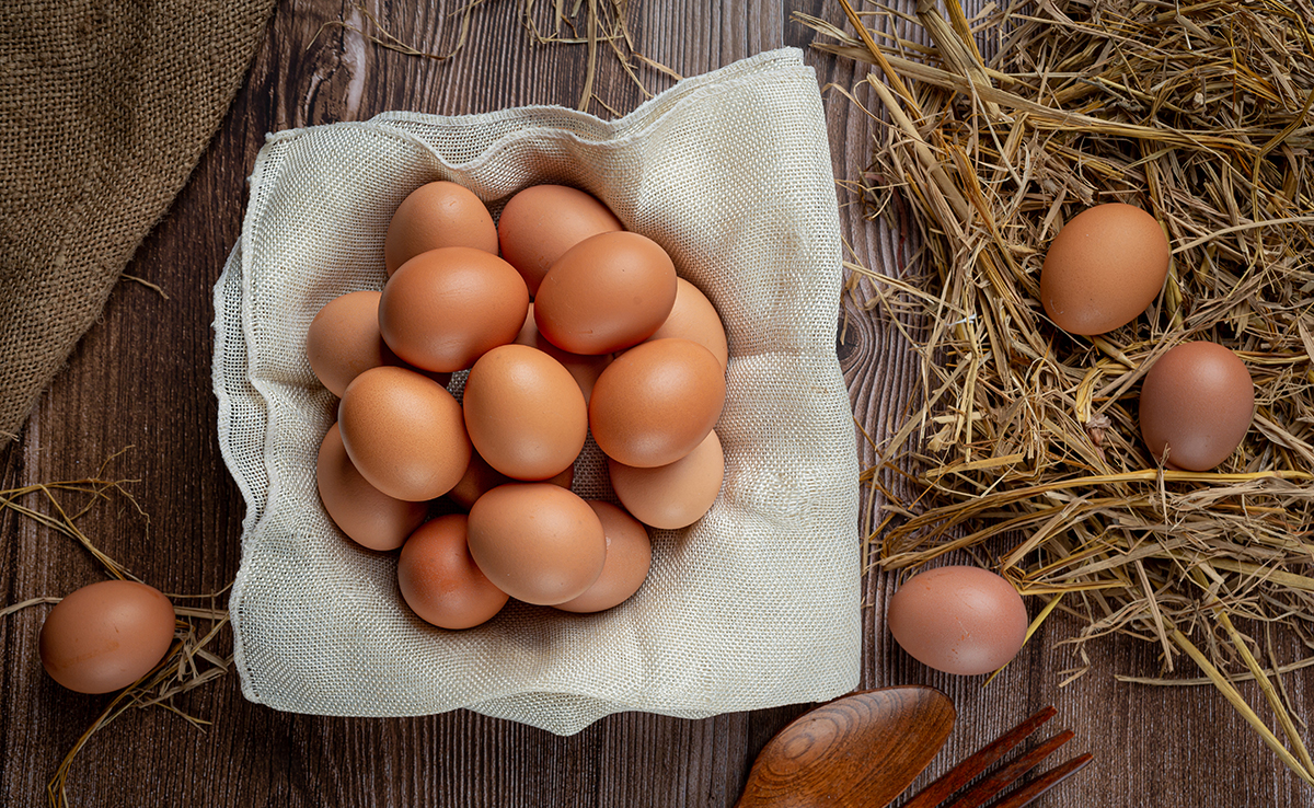 Que faire du surplus d'œufs de mes poules pondeuses ?