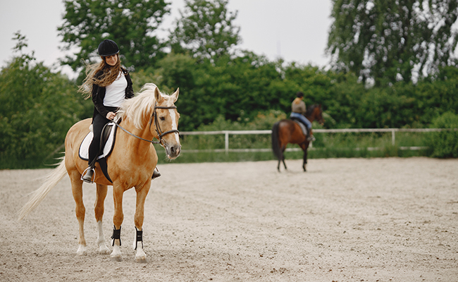 Quels sont les vêtements nécessaires pour débuter en équitation ?